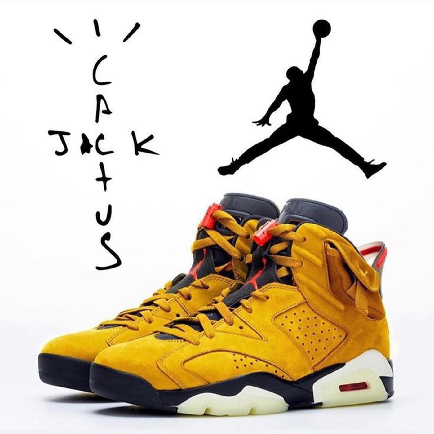 Nike Air Jordan 6 Travis Scott